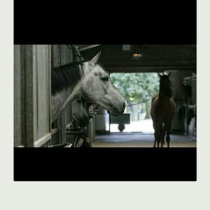 Meet your Posher, Saul